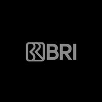 logo bri