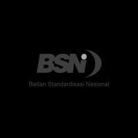 logo bsn